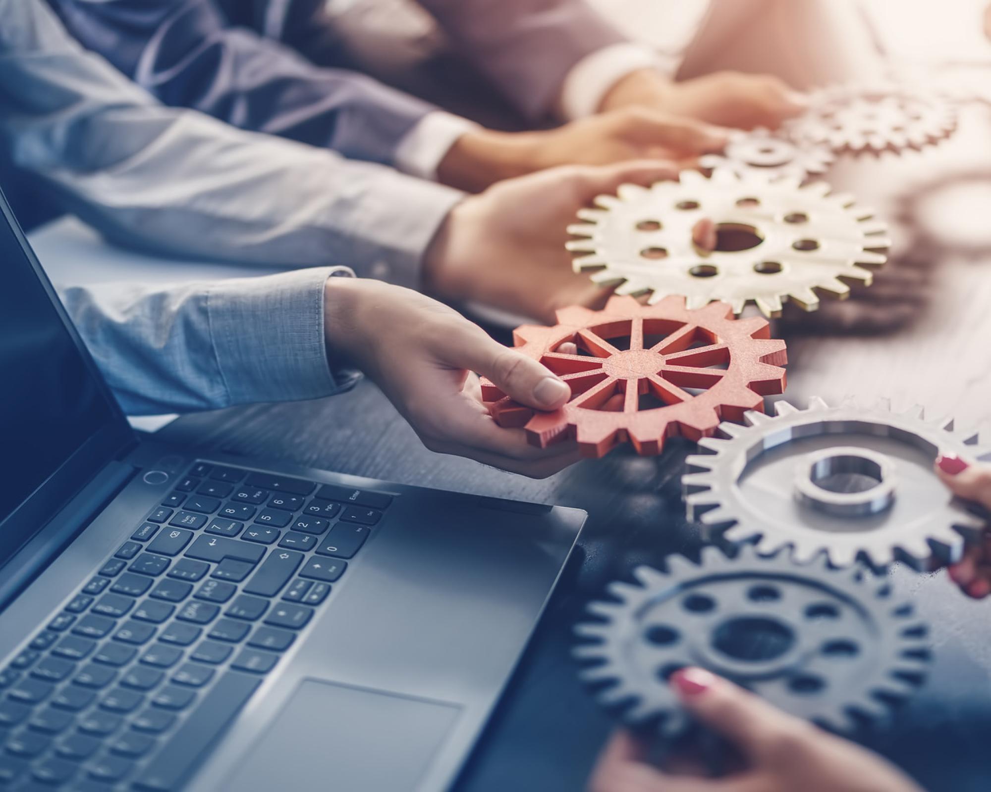 Business & IT Management Consultants
