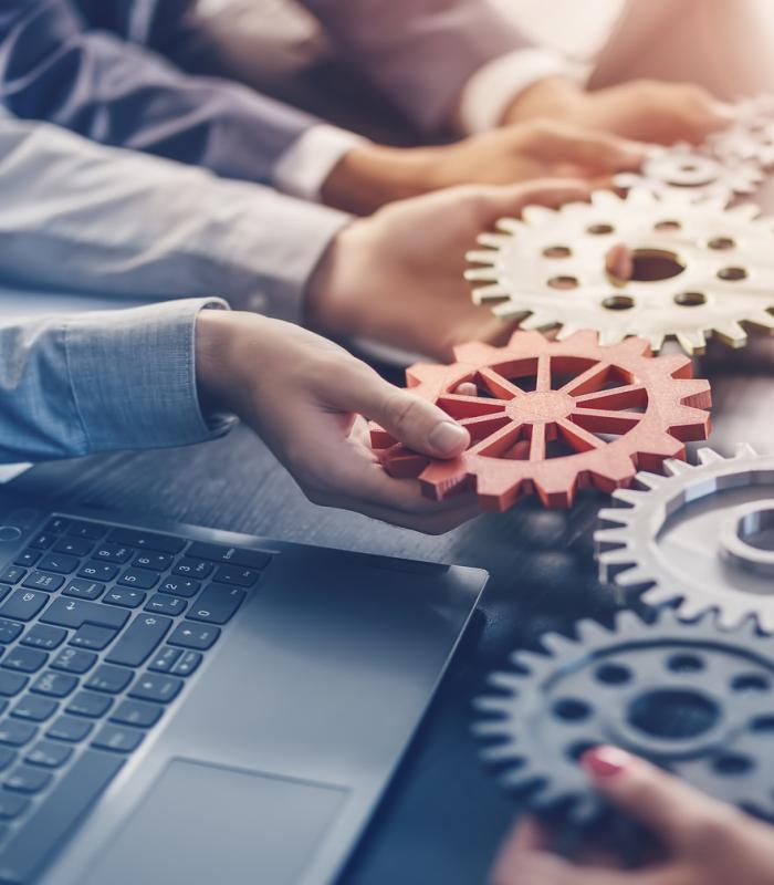 Business & IT Management Consultants